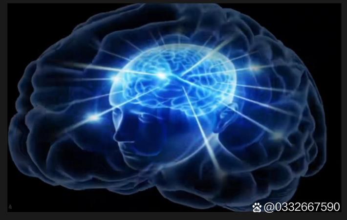 网红博主直播翻车：言论引争议，平台已介入调查